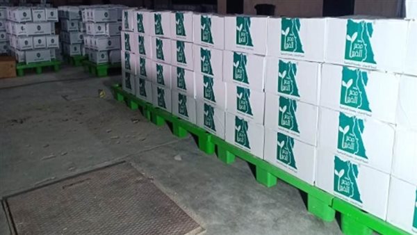 مصر الخير:  تجهيز ٥ آلاف كرتونة مواد غذائية مساعدات عاجلة للشعب اللبناني