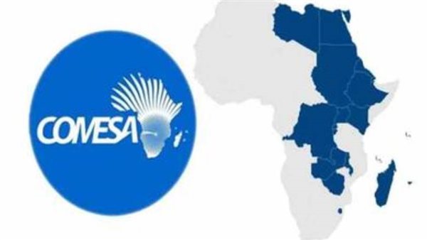 مصر تستحوذ على 32% من المشروعات الاستثمارية بدول 