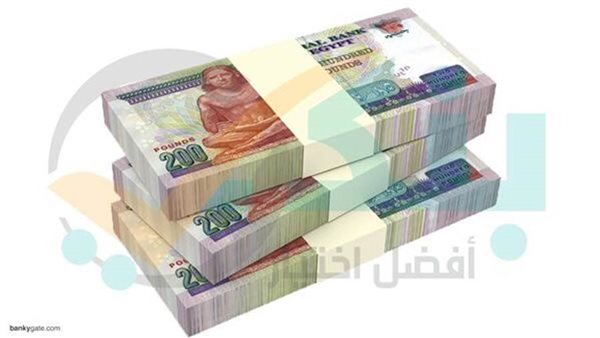 البنك المركزي: النقد المصدر يتراجع بقيمة 21.5 مليار جنيه بنهاية أغسطس