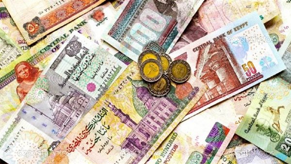 بشهادة المؤسسات الدولية.. أداء الاقتصاد المصري في 2020 يفوق التوقعات رغم أزمة كورونا