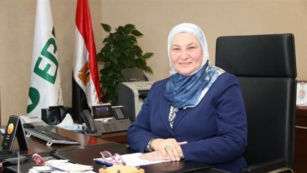 ميرفت سلطان: إستراتيجية طموحة لبنك تنمية الصادرات للتحول الرقمي وأتمتة الخدمات المصرفية في 2021