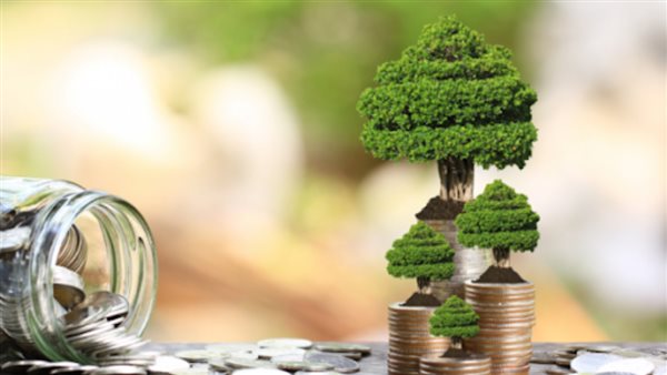 التخطيط : زيادة الاستثمارات الموجهة للمشروعات الخضراء إلى 30% في خطة 2020/2021 