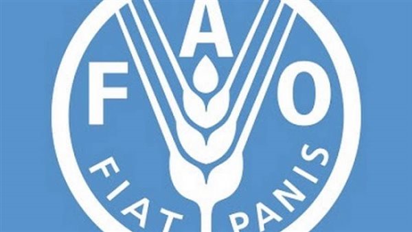 مصر تبحث تعزيز آفاق التعاون مع 