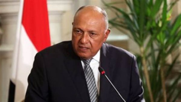 شكري يبحث مع نظيره الياباني العلاقات الثنائية والملفات الإقليمية والدولية