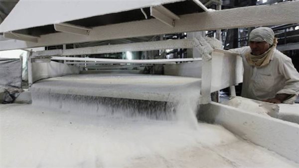 100 جنيه ارتفاعاً بسعر طن السكر محلياً خلال 24 ساعة