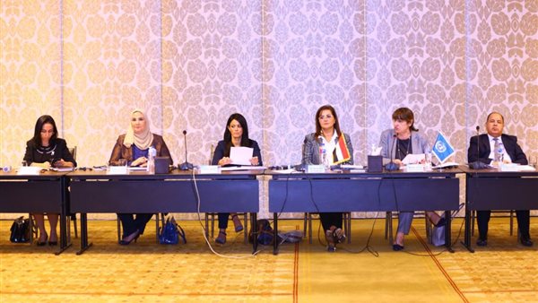 المشاط تُشارك في الاجتماع الأول للجنة التسيير الخاصة بإعداد استراتيجية تمويل أهداف التنمية المستدامة 