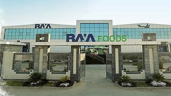 باستثمار قيمته 20 مليون جنيه.. «راية فودز» تعلن رسميًا اعتمادها على الطاقة الشمسية