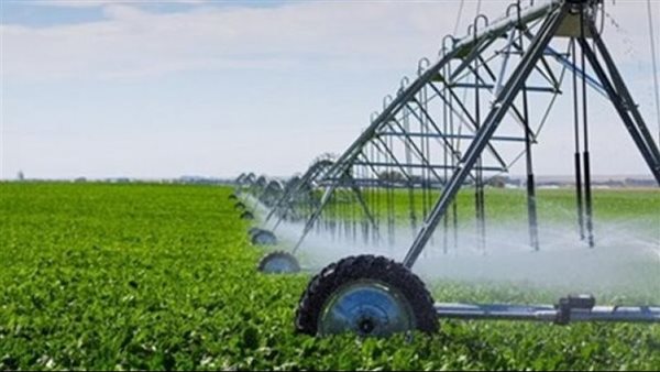 «المركزي للتعمير»:تنفيذ 28 مزرعة نموذجية بإجمالى مساحة 1100 فدان في طابا