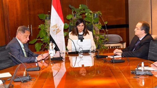 وزيرة الهجرة تلتقي عددًا من رواد الأعمال المصريين بالخارج والأفارقة لتبادل الخبرات 