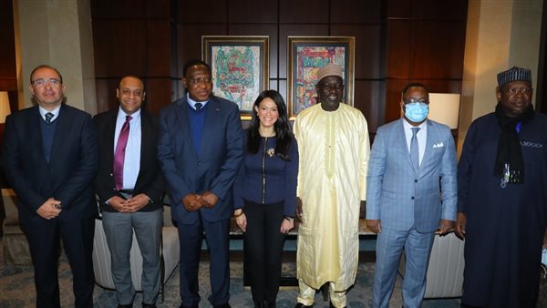 المشاط تبحث مع وزير الاقتصاد الكاميروني تطوير العلاقات الاقتصادية ودفع مجالات التعاون