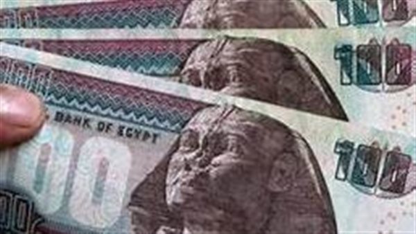 «مشروعك» ينفذ 22 ألف مشروع صغير ومتوسط بالمنيا بـ2.6 مليار جنيه