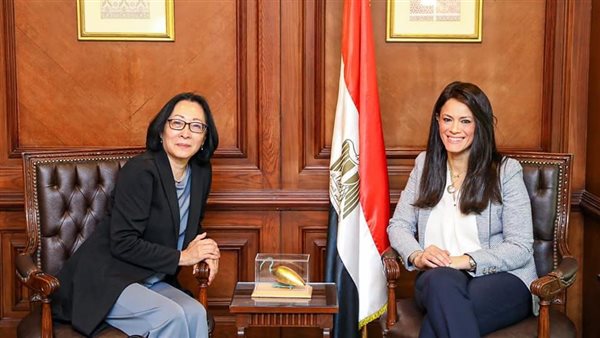 المشاط تبحث مع ممثل الأمم المتحدة للحد من مخاطرالكوارث استعدادت مؤتمر المناخ