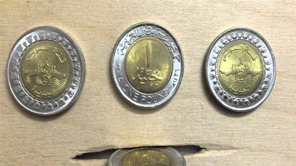 حسام خضر: احتياطى «الفكة» يكفى احتياجات السوق لمدة عام ونصف