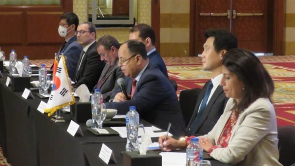 وزير المالية: الحكومة تستهدف جذب 10 مليارات دولار استثمارات أجنبية مباشرة سنويًا