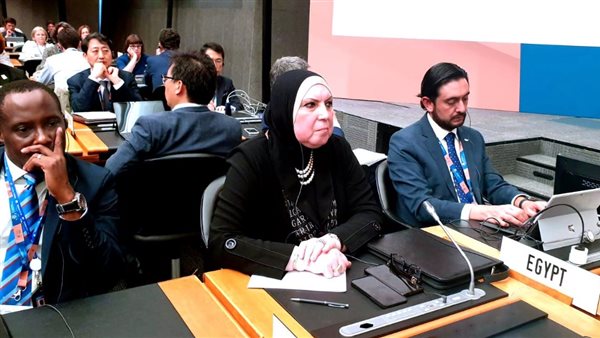 نيفين جامع: دور محوري للتجارة في تعزيز قدرات الدول على التحول الأخضر