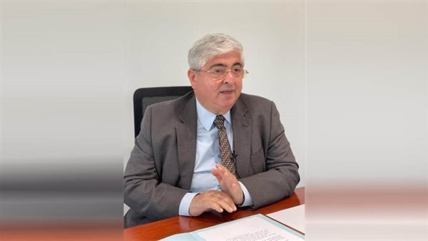 الأهلي للصرافة: 206 ملايين جنيه حصيلة تنازلات العملات الأجنبية أمس الأحد