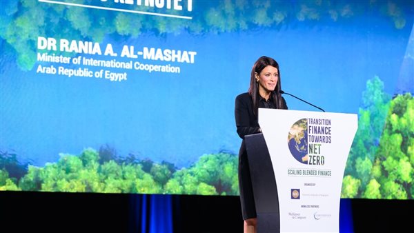 المشاط: 250 مليار دولار احتياجات قارة أفريقيا لتنفيذ مساهماتها المحددة وطنيًا