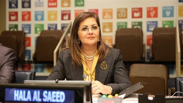 السعيد: فتح الطريق للمستثمرين وللجمهور لشراء الأسهم تحت إشراف الصندوق السيادي المصري