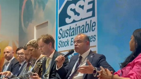 رئيس الرقابة المالية يشارك في جلسة 