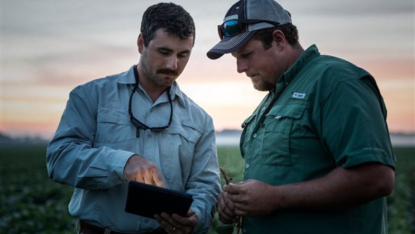 »التصديري الأمريكي لفول الصويا» يمنح بروتوكول وSSAP لضمان الاستدامة لعملائه حول العالم 