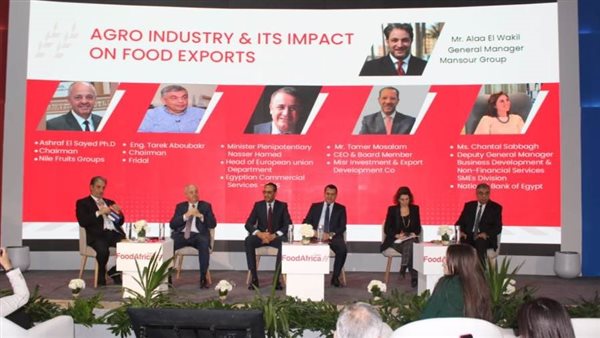  شنتال صباغ:الصناعات الغذائية تشكل أكثر من 10% من محفظة المشروعات الصغيرة والمتوسطة بالبنك الأهلى المصري