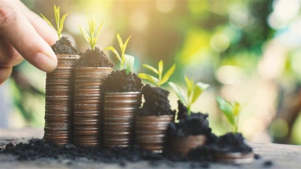 أرباح الخير للتنمية والاستثمار الزراعي تلامس 29 مليون جنيه 