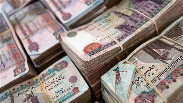 3 بنوك تشارك فى إصدار سندات توريق مدينة نصر للإسكان والتعمير بـ805.5 مليون جنيه