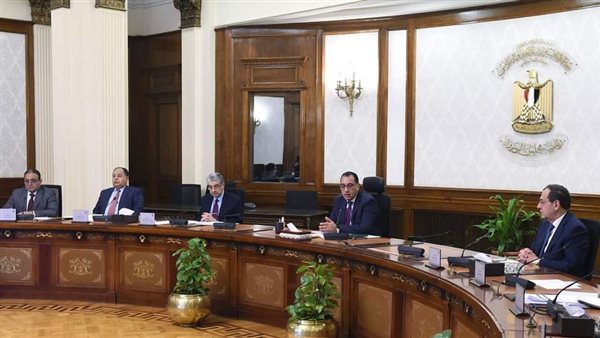 رئيس الوزراء يستكمل متابعة خطوات فض التشابكات المالية الحكومية بين 