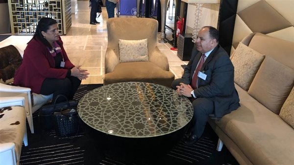 وزير المالية: تعميق التعاون الاقتصادي بين الدول العربية على المستوى الثنائي أو الإقليمي 