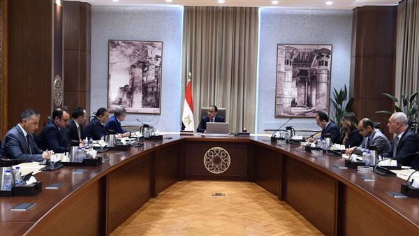 رئيس الوزراء يستعرض ملامح مشروع ضخم للبتروكيماويات في المنطقة الاقتصادية بالتعاون مع القطاع الخاص