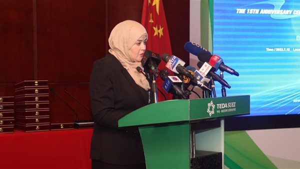  الرئيس التنفيذي لشركة تيدا: المنطقة الاقتصادية شريك قوي للاستثمارات الصينية 