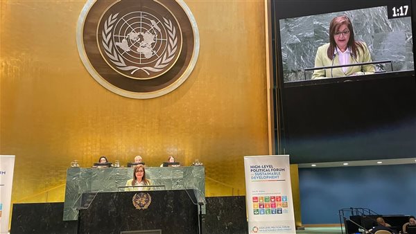 السعيد تلقي البيان الوطني المصري بافتتاح الشق الوزاري بأعمال المنتدى السياسي رفيع المستوى للتنمية المستدامة