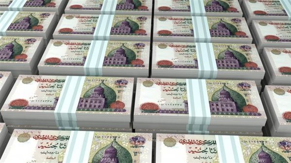 CIB وQNB الأهلي يستحوذان على 60.5% من صافي أرباح البنوك المدرجة بالبورصة