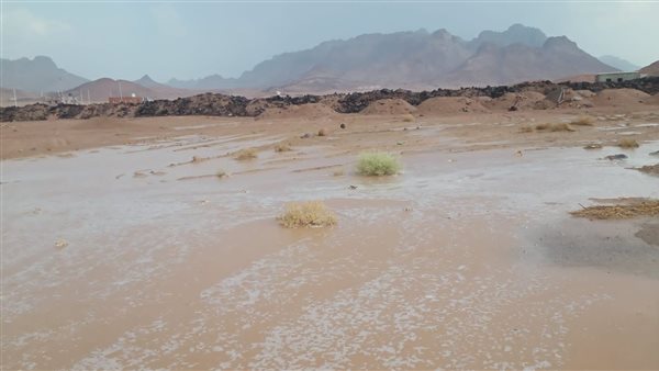 وزير الموارد المائية يتابع موقف التعامل مع الأمطار الغزيرة في سانت كاترين بجنوب سيناء