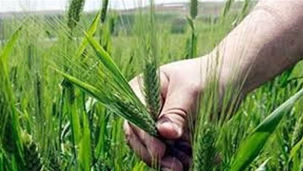 البنوك تقدم مجموعة من الخدمات المجانيه بمناسبه 