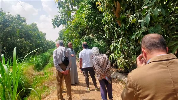 الزراعة: المركزية لمكافحة الآفات تستعد للموسم الشتوي بتوفير المبيدات والمعدات على مستوى الجمهورية 