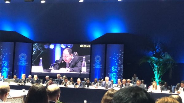 وزير المالية: ينبغي تحويل أعباء الديون بالبلدان النامية إلى حلول مستدامة للتعافي الأخضر