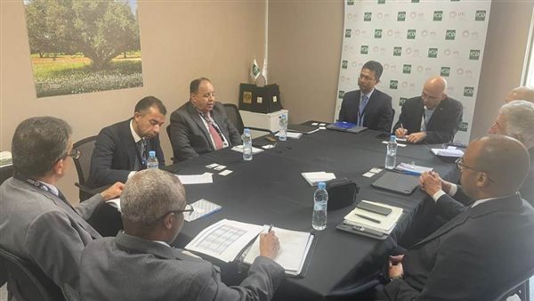 وزير المالية: اتخذنا العديد من الإجراءات والتدابير المحفزة لمناخ الأعمال لاستدامة النمو الاقتصادى