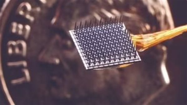 Nvidia وAMD يخططان لإطلاق شرائح Arm PC مطلع 2025.. تفاصيل