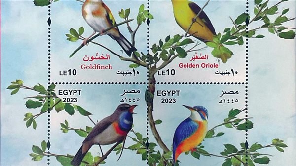 الهيئة القومية للبريد تصدر بطاقة تذكارية ترصد فيها ظاهرة 