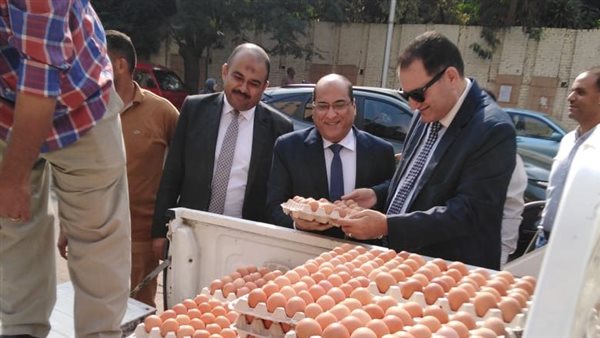 اطلاق ١٠ منافذ متحركة في ٨ محافظات لبيع بيض المائدة بأسعار مخفضة