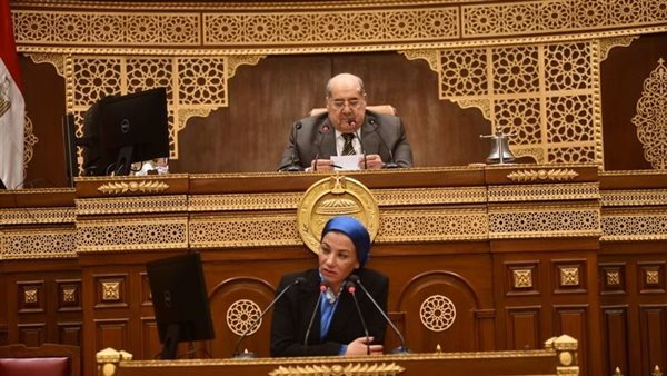 وزيرة البيئة تستعرض خلال الجلسة العامة لمجلس الشيوخ جهود الحد من الانبعاثات لدفع التنمية الاقتصادية للدولة 