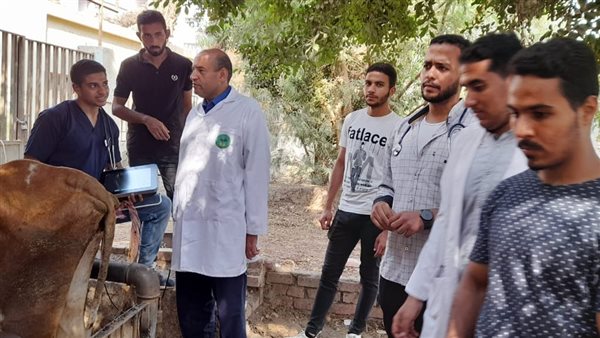 الزراعة تطلق قافلة بيطرية لدعم صغار المزارعين بمحافظة المنيا في اطار مبادرة حياة كريمة