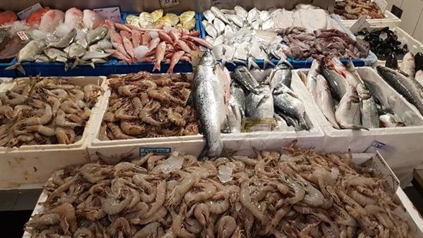 أسعار الأسماك اليوم السبت 18-11-2023