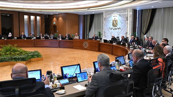 مجلس الوزراء: ترخيص شركتين خاصتين لتنمية منطقة استثمارية في الجيزة