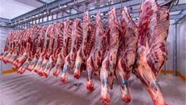 أسعار اللحوم الحمراء اليوم الأربعاء 3-1-2024