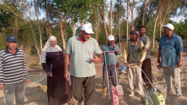 بحوث الصحراء ومنظمه الأغذية والزراعة تدعم زراعات الفول والقمح والشعير بجنوب سيناء