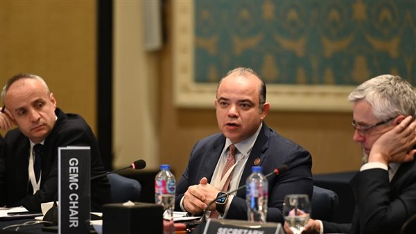 الدكتور محمد فريد يترأس اجتماع اللجنة التوجيهية للجنة الأسواق النامية والناشئة التابعة للمنظمة الدولية 