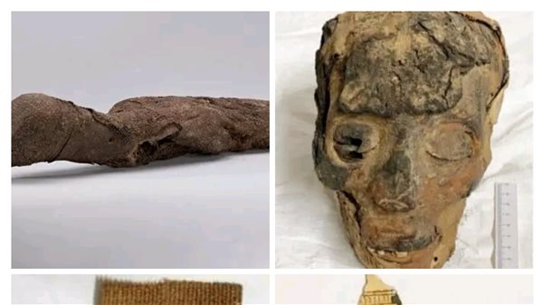 مصر تسترد قطعًا أثرية فرعونية من متحفي وانجانوى وساوثلاند بنيوزيلاندا| صور 