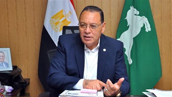 ضبط 3 أطنان أرز و50 علبة سجائر خلال حملات رقابية على الأنشطة التجارية في الشرقية